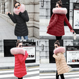 womens winter jackets and coats 2018 Parkas for women 4 Colors Wadded Jackets warm Outwear With a Hood Large Faux Fur Collar